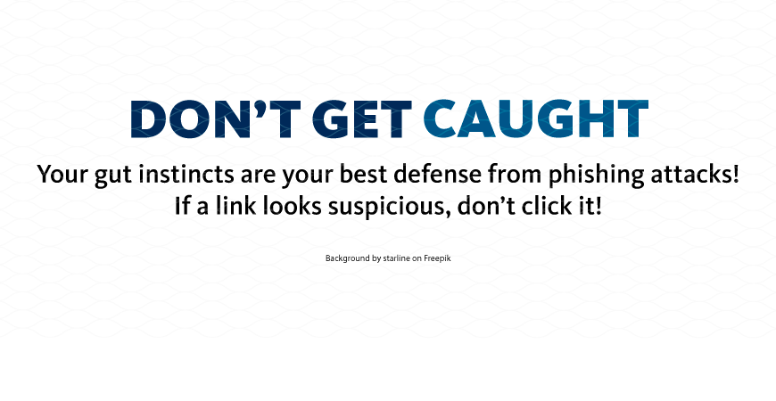 Don't Get Caught as a Phish