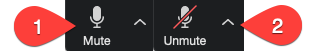 Screenshot of how to mute and unmute yourself with steps called out