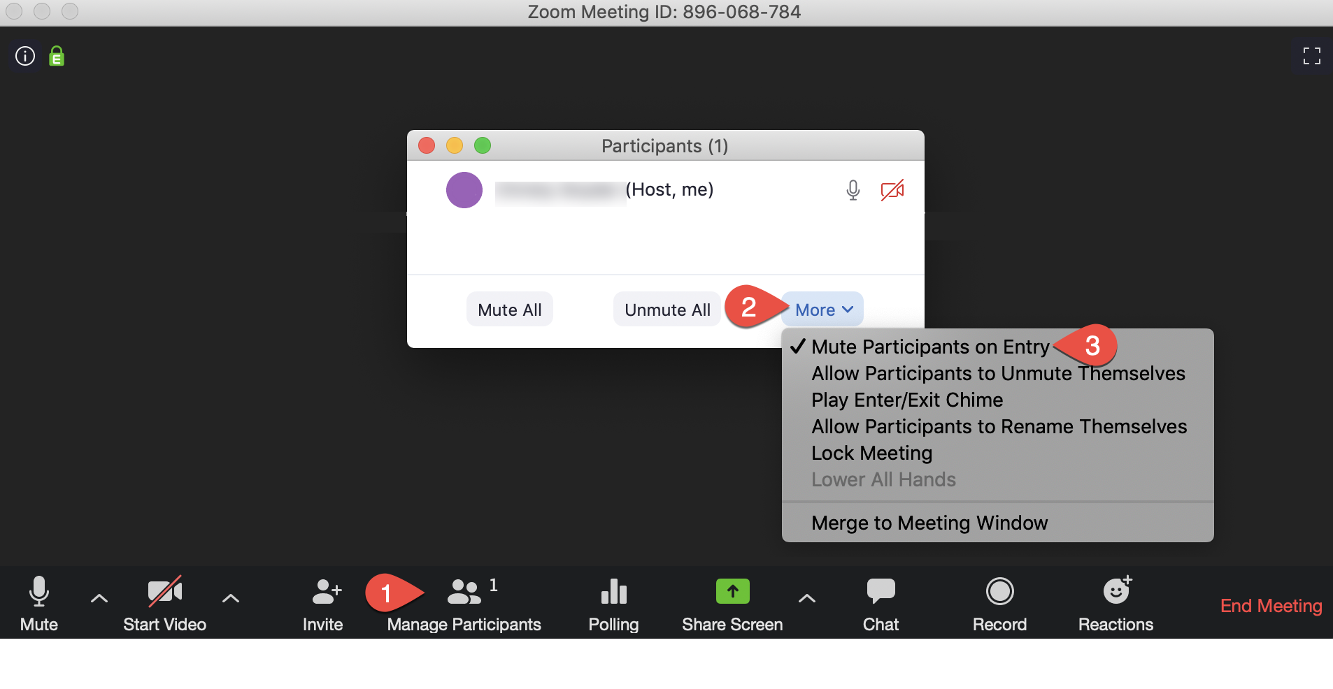 Screenshot that displays a Zoom screen and indicates where the buttons are to mute participants on entry