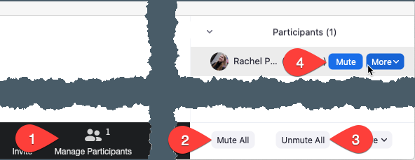 Screenshot of participants in a Zoom meeting with the steps called out for how to Mute and Unmute participants