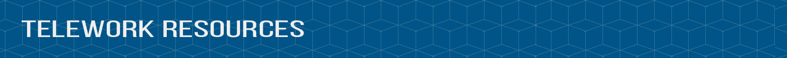 Header image that reads "Telework Resources"