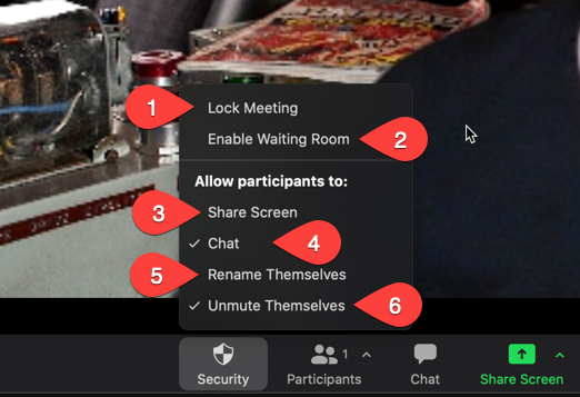 Zoom Security settings