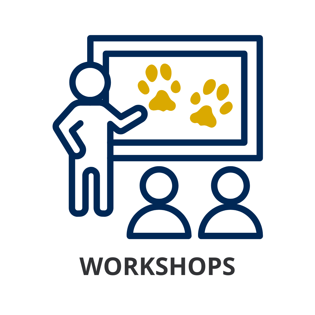 Find information about workshops