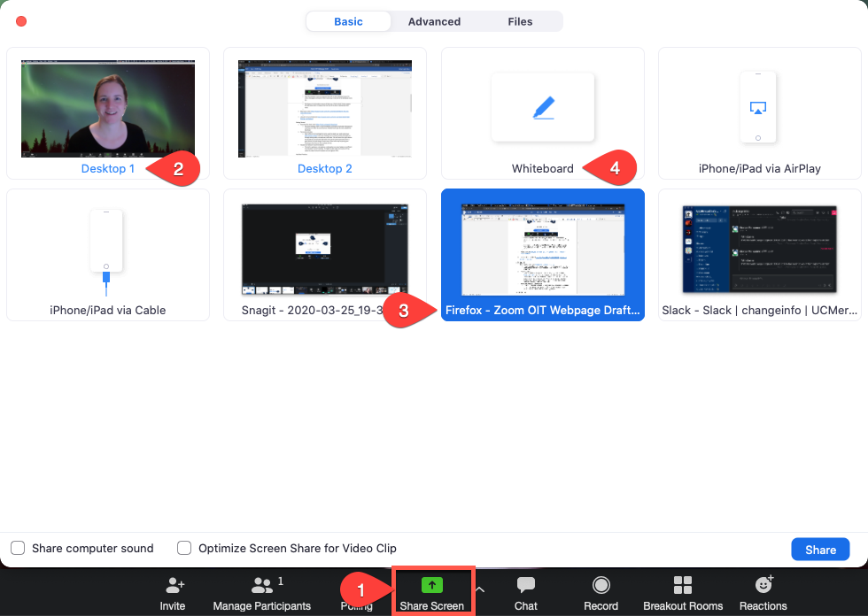 Screenshot how to turn on Screen Sharing with steps called out
