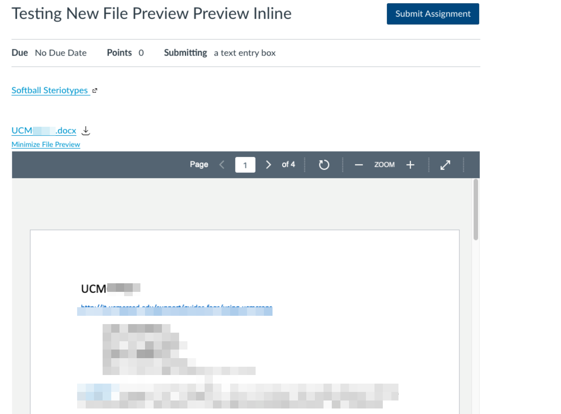 Student view of File when using Preview Inline - File opens embeded in the page