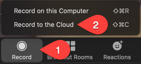 Click on the Record button in a Zoom meeting